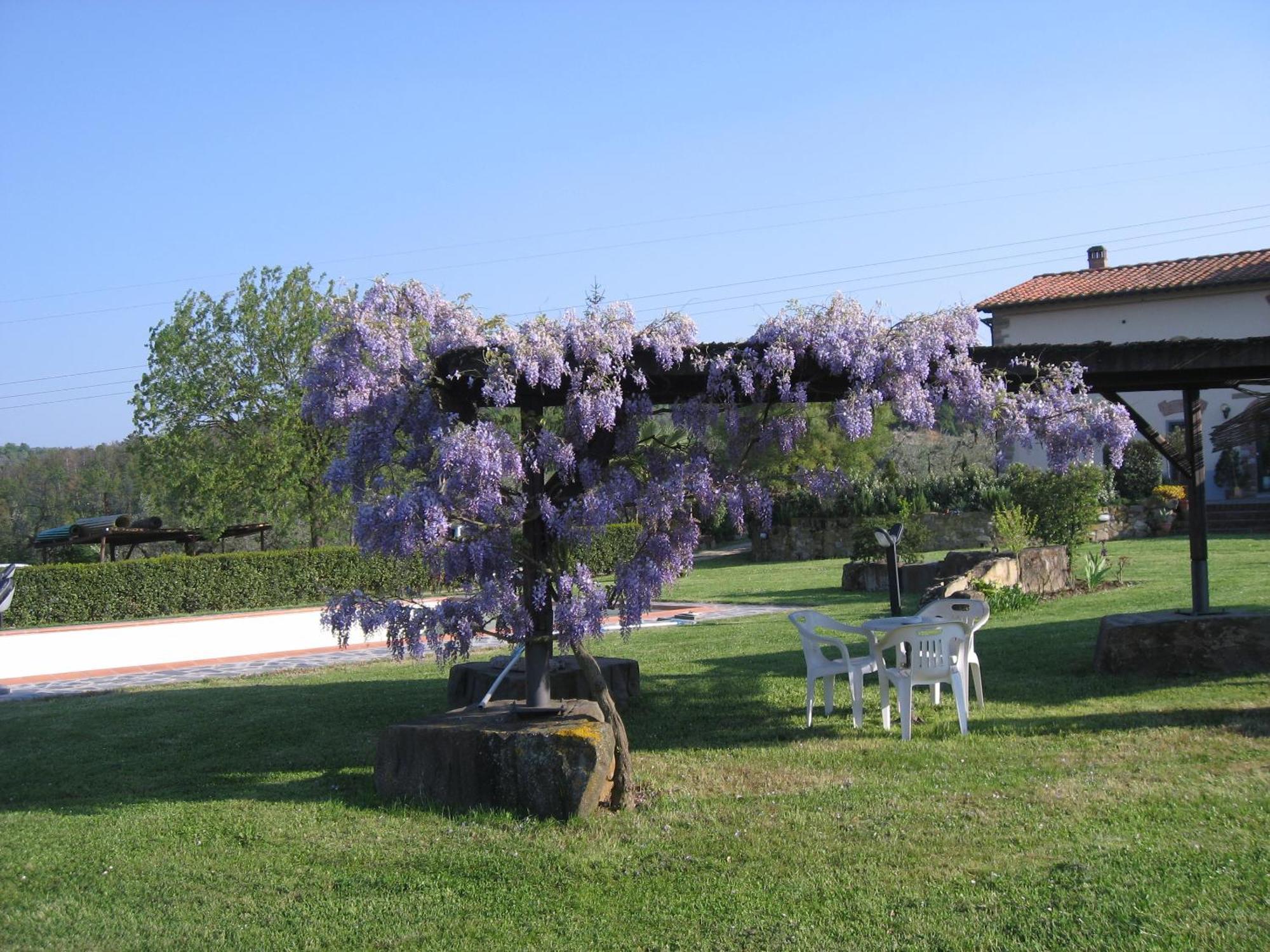 Agriturismo Villani Poderi Nesti & Cupoli Lastra a Signa Exterior foto